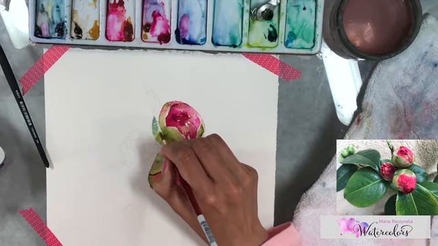 How to paint Camellia flowers in Watercolors смотреть онлайн