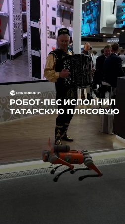 Робот-пес исполнил татарскую плясовую