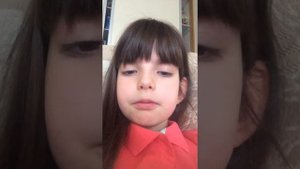 Топ 5 самых лучших собак для квартиры