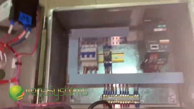 Очистка моркови Vega STF 800, очистка корнеплодов смотреть онлайн