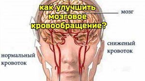Сосуды и нервы мозга разрушаются из-за нарушения кровообращения. Помогут "волшебные" методы массажа