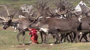 Дархатская котловина. Экспедиция в затерянный мир. Анонс фильма