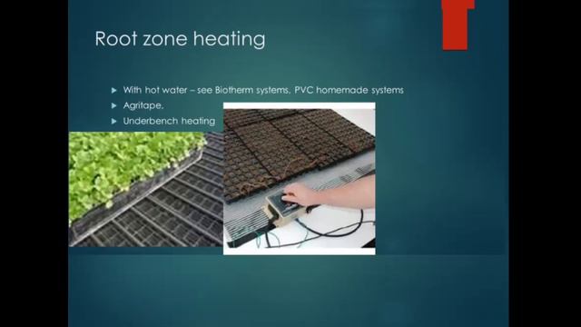 Mr. Creedon Seeds vs. Cuttings (edit) смотреть онлайн