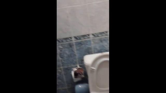 г-ца РУССКАЯ ИЗБА в г.КИНЕШМА.01.07.2022г. смотреть онлайн