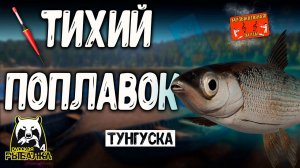 РР4/ рыбалка для души, ловим как универсал, общаемся 19.11.23