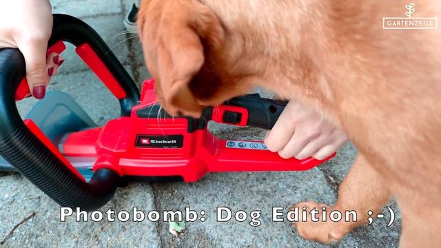 Einhell Akku-Heckenschere GE-CH 18/60 Li-Solo Power X-Change im Test! смотреть онлайн