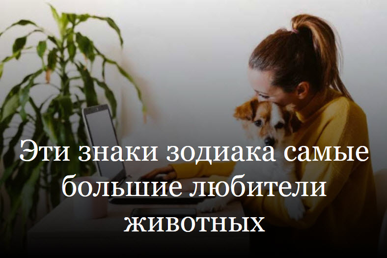 Эти знаки зодиака самые большие любители животных смотреть онлайн