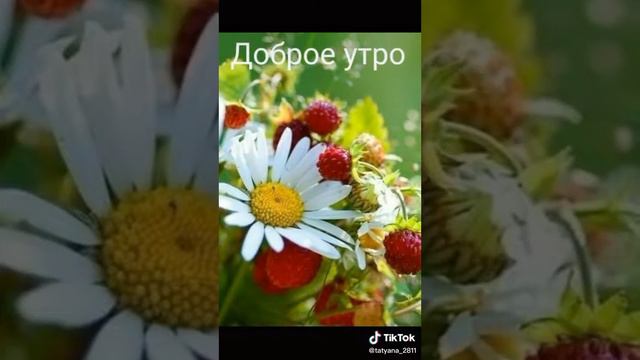 Пожелание доброго утра(3) смотреть онлайн