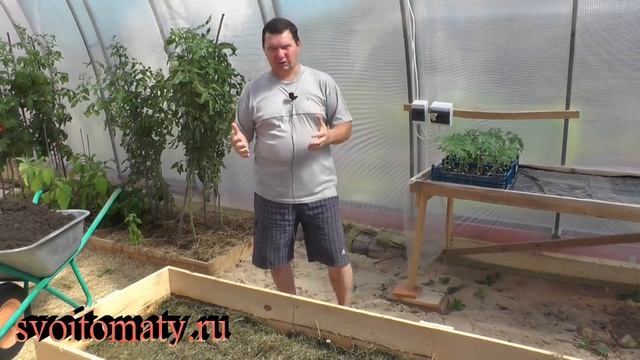 Готовим грядку в теплице к осенне-зимнему выращиванию томатов смотреть онлайн