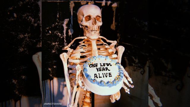 My Little Panic Attack смотреть онлайн