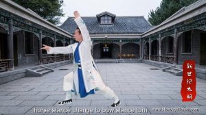 Wudang Five Animal Qigong : Dragon