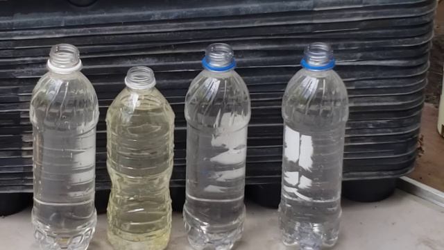 How to Take Geranium Cuttings / Clones! 🏵 Save Money & Never Pay For Your Favorite Flowers Again! смотреть онлайн