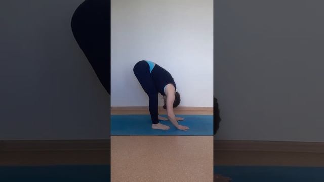 суставная разминка и приветствие солнцу смотреть онлайн