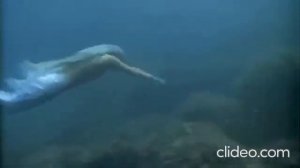 жемчуг в волосах