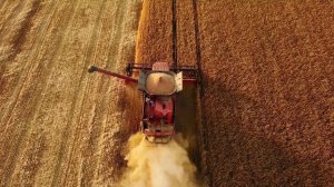 История Органических и Экологических продуктов питания