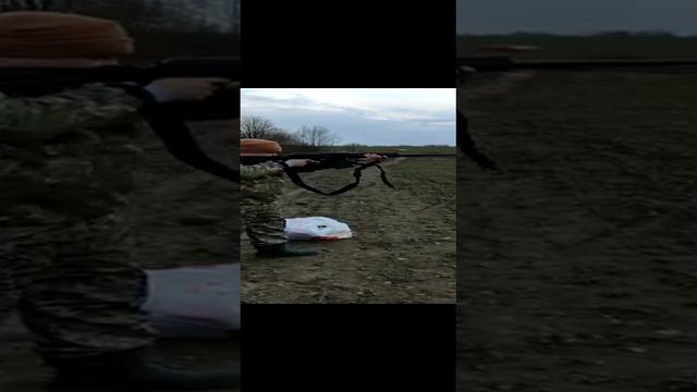 Моя Сайга 12 смотреть онлайн