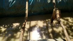 3 ЁКИ 6 ОЙДА БУКАНИ СЕМИРТИРСА БУЛАДИ. БУКА БОКИШ.