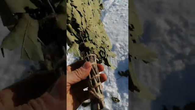 Обзор Кавказского дубового веника из поросли смотреть онлайн