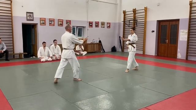 Экзамен на 3 кю Ёсинкан Айкидо.