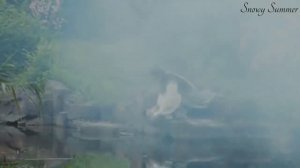 Клип к дораме Легенда о Белой Змее / Legend of White Snake / 新白娘子传奇