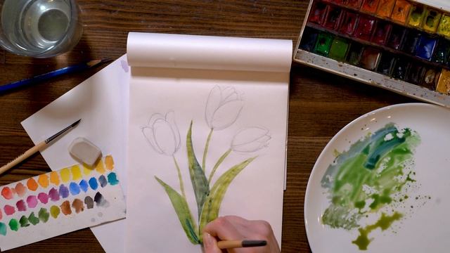 Как нарисовать тюльпаны поэтапно акварелью | Видео уроки по рисованию для начинающих. Онлайн школа смотреть онлайн