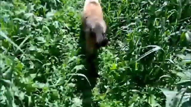 сказка смотреть онлайн