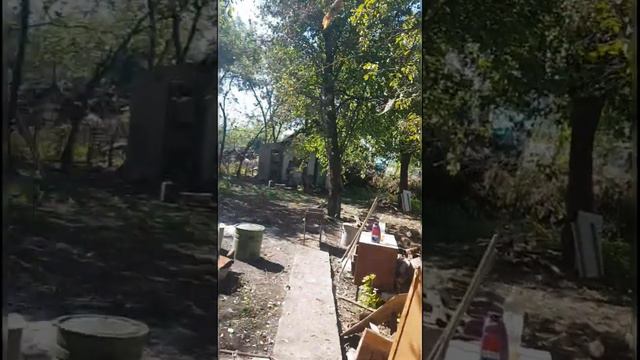 Воспоминание о лете на даче . смотреть онлайн