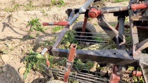 Копаем картофель грохотной копалкой.
