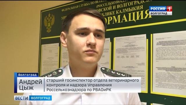 Производство и хранение мясных полуфабрикатов – под контролем Россельхознадзора
