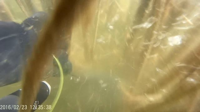 Подводная охота 23 февраля смотреть онлайн