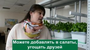 Что можно вырастить в домашних условиях с «Чудо-грядкой»?