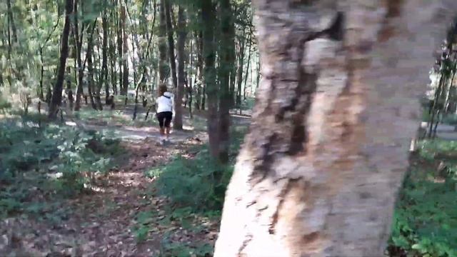 Кисловодск, Долина РОЗ, Нарзанная галерея. Обзор.