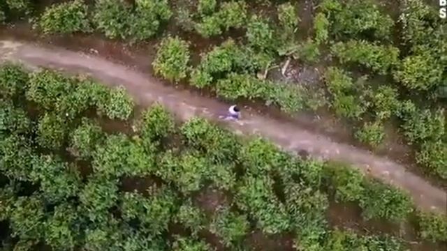 Элитный кофе и чай с Коллагеном от Smartich ☕☕☕ 0508582888?????????? смотреть онлайн