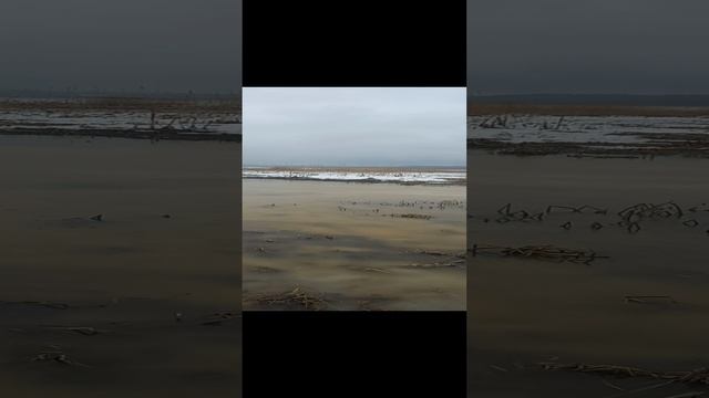 Весеняя Рыбалка В Воде.
