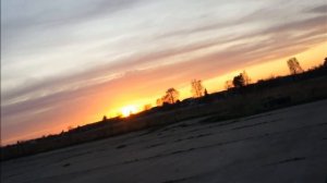 Forward Raptor 2.0 Disc