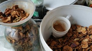 240323 Сушёные яблоки и яблочный порошок Как сушить сухофрукты Где хранить высушенные плоды яблони