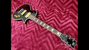 LTD by ESP EC 256 Alnico 5 humbucker pickups