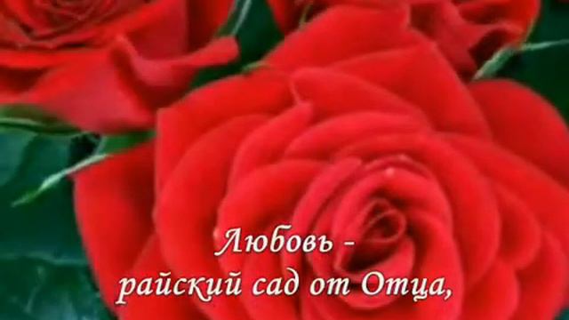 Влюблённость или ЛЮБОВЬ?