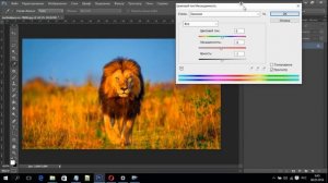 Урок №6 Часть 3 Инструмент Цветовой тон Насыщенность в фотошопе