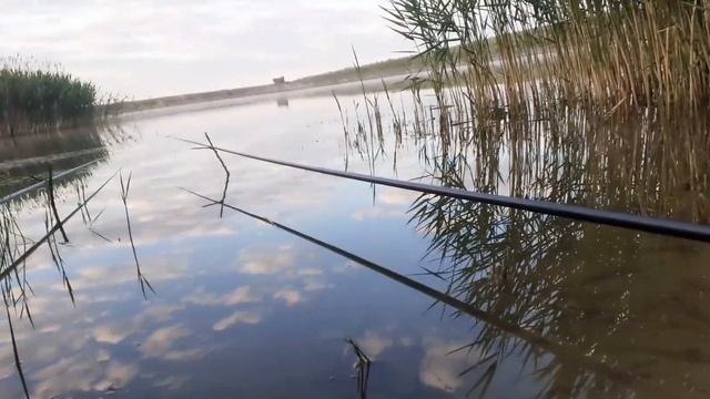 25.05.2022 РЫБАЛКА на КАРАСЯ,крючки OWNER!