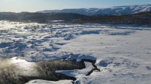 Камчатка. Река Левая Озерная. Лебеди.