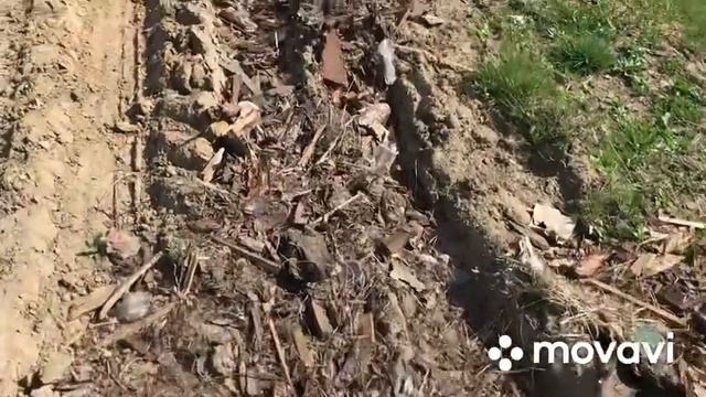 Припахали зятя//Тефтели на обед//Как продать козу// смотреть онлайн