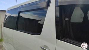 Самая жирная комплектация Toyota Alphard 2007