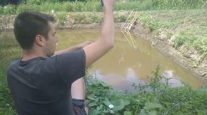 РЫБАЛКА НА СОБСТВЕННОМ ПРУДУ