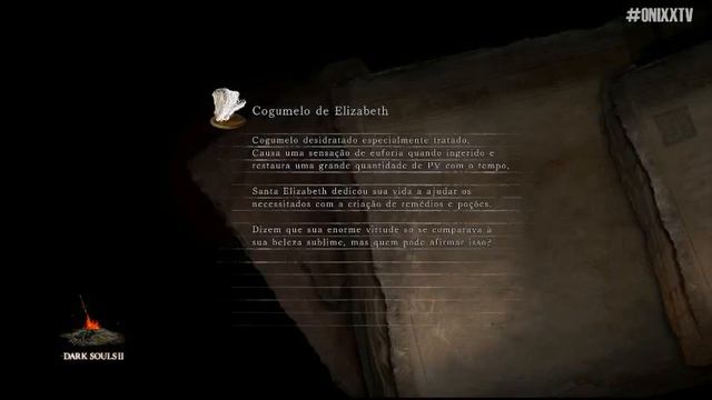 Dark Souls 2: Scholar of the First Sin PS4 / Coop #10 (Ft. LipeGaymer) смотреть онлайн