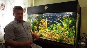 Точечная сифонка грунта в аквариуме.