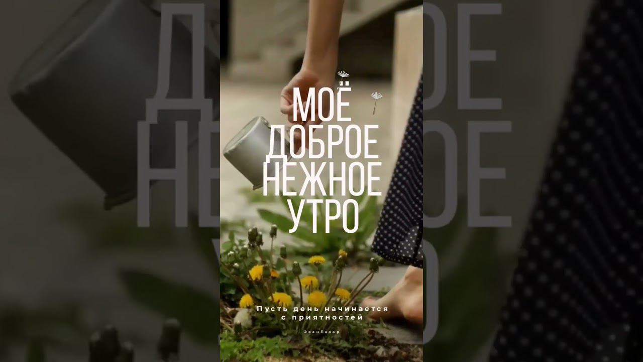 Доброе нежное утро #открытки #доброеутро
