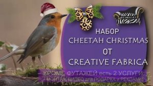 Футажи Птицы 7 10 и набор Гепард Christmas для вашего проекта