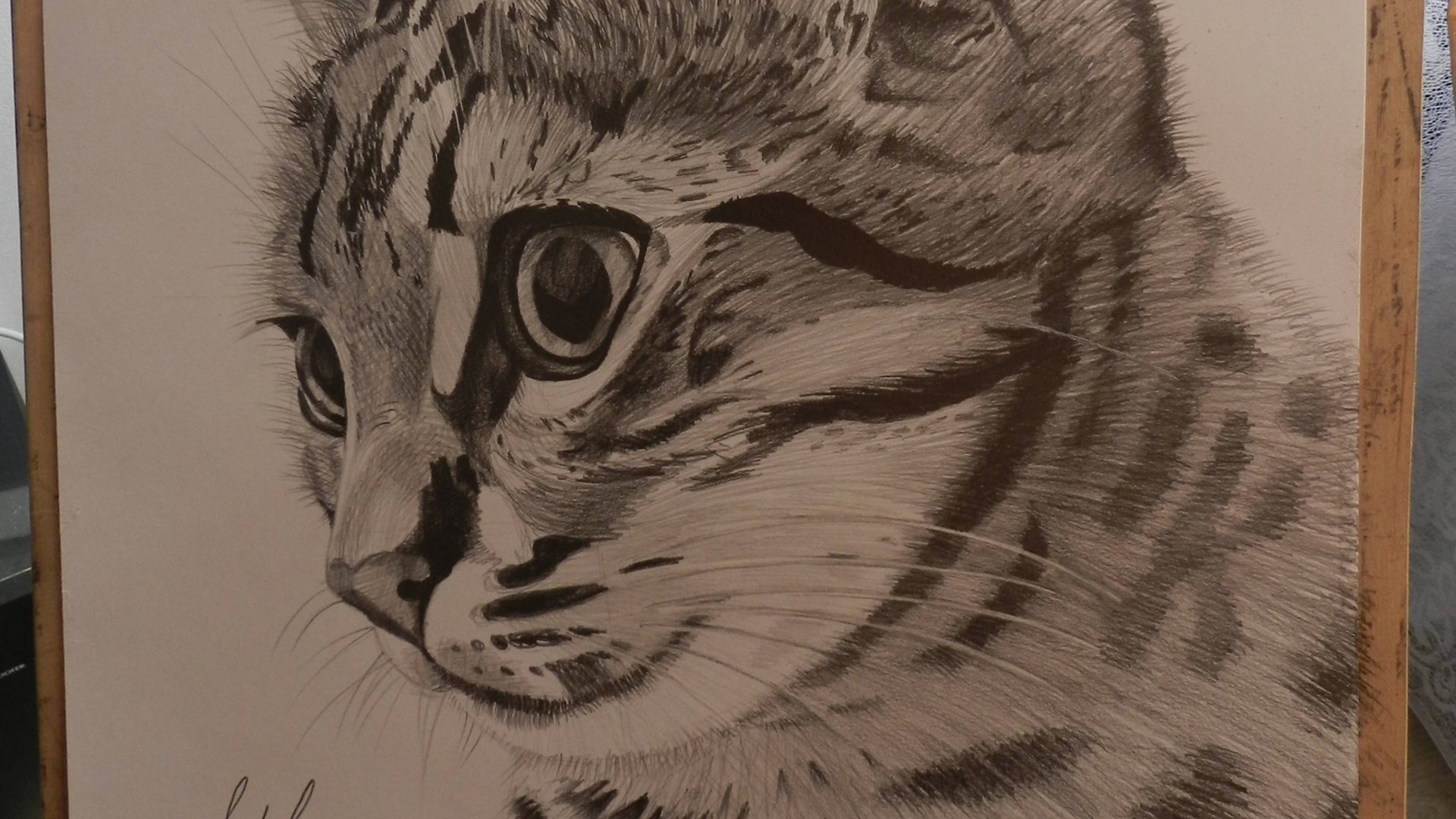 Новое видео