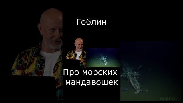 Про морских мандавошек #Shorts